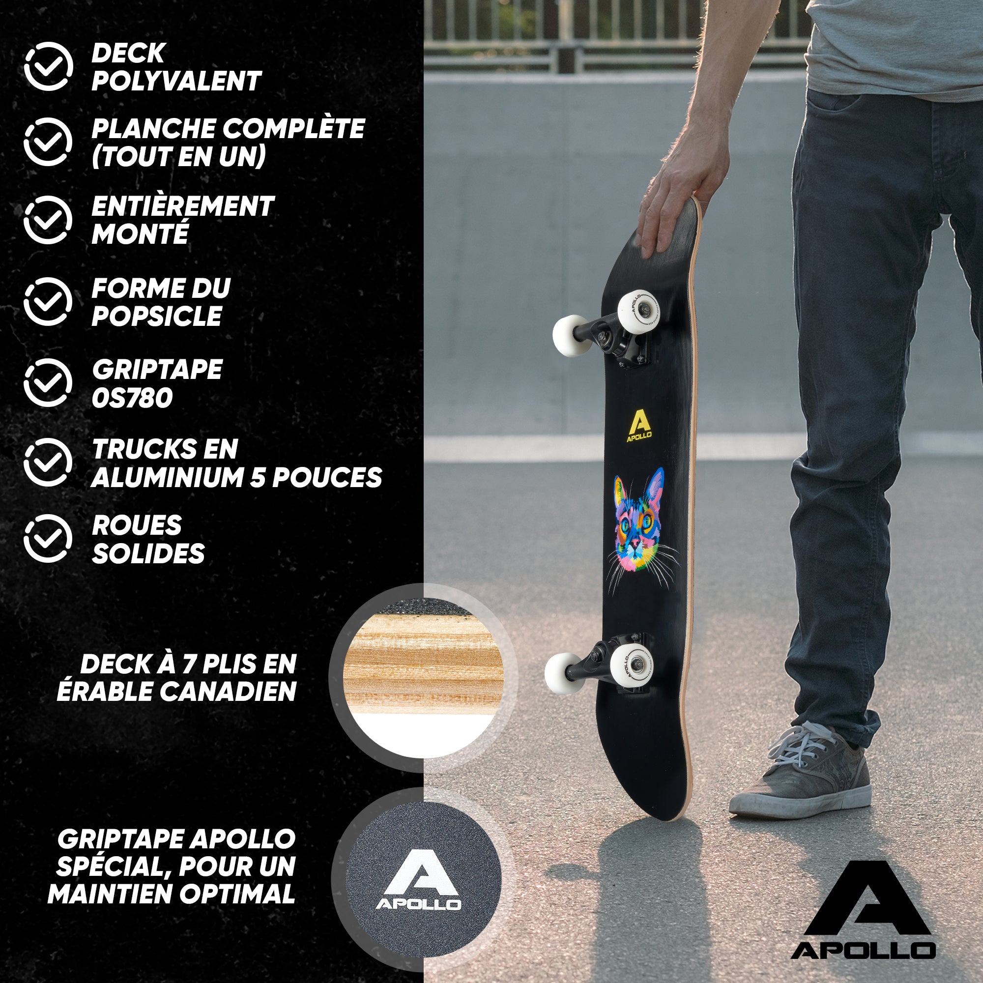 Apollo - Skateboard professionnel enfants et adultes - Cat - Cat