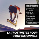 Apollo - Stunt Scooter - Star Pro - HighQuality eloxierter Profi Stunt Scooter - Or