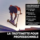 Apollo - Stunt Scooter - Star Pro - HighQuality eloxierter Profi Stunt Scooter - Noir Or