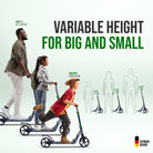 Apollo - Trottinette Apollo High End - Trottinette Tornado City avec frein et suspension - Gris Vert