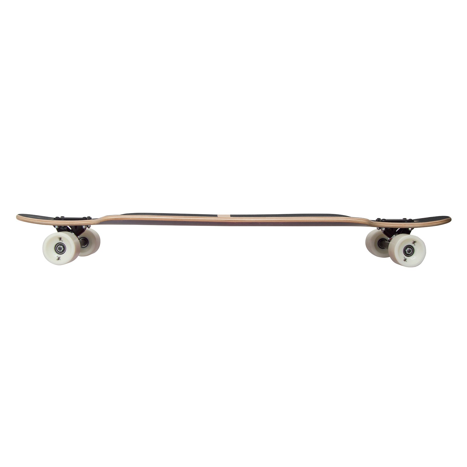 Apollo - Longboard - Nebula TwinTip DT - 40 - T-Tool inclus - Nebula